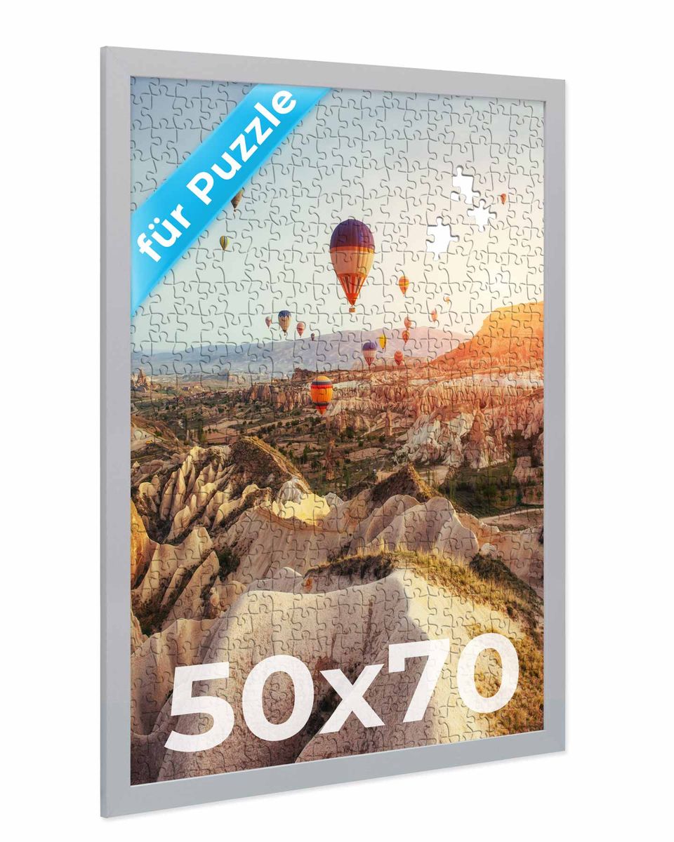 EUROLine Cadre Photo Bois 72 X 128 Cm Argenté Mat Avec Verre Acrylique Antireflet - Format XXL